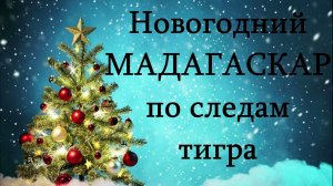 Новогодний МАДАГАСКАР: по следам тигра