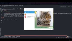 Использование config ini для настройки аккаунтов Python (2021)