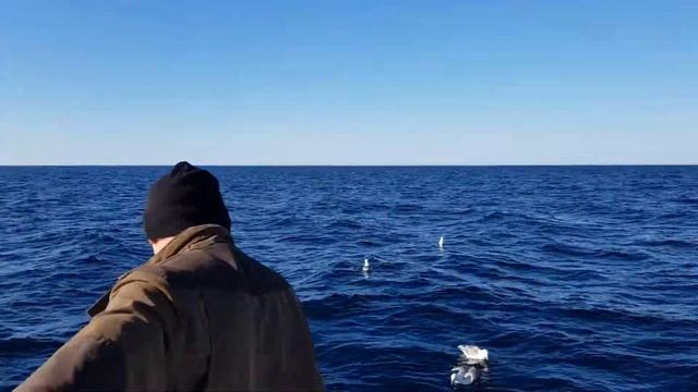 Ловля красного окуня в норвегии
