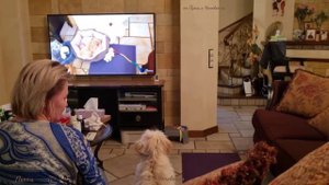 Мальтипу Пеппи  подросла- ей уже 7 месяцев