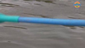 Искусственно выведенную щуку запустили на Сенеж и Истру