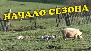 Новый сезон. Начало (05.24) | Чайники в Деревне