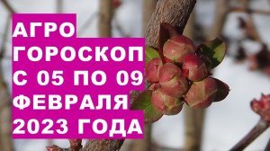 Агрогороскоп с 05 по 09 февраля 2023 года. Агрогороскоп з 05 по 09 лютого 2023 року