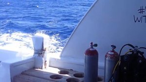 Шарм Эль Шейх! Экскурсия на  Рас Мохаммед! Яхта Энжи Квин!