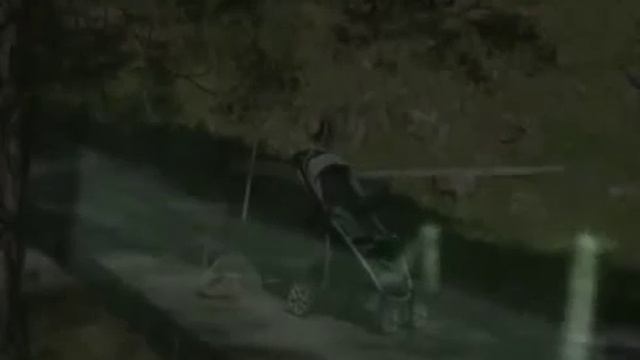 Странных существ засняла видеокамера безопасности смотреть онлайн