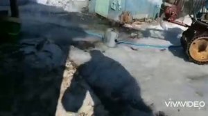 водяная помпа для мотоблока