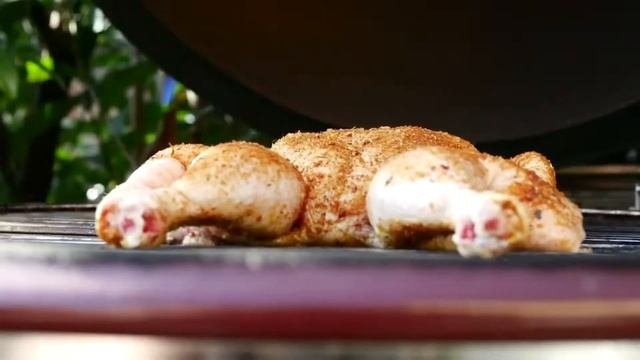 Видеорецепт. Готовим нежнейшую шаурму из курицы на керамическом гриле Monolith Grill® Le Chef XL