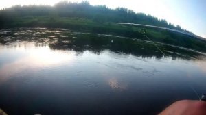 рыбалка Мста начало июня спиннинг часть 1