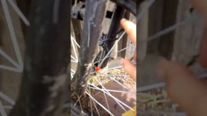 Село барачаты как выжить?