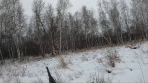 тропим зайчика вдвоем
