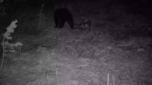 Весна 2022 - Второй пошёл!.mp4