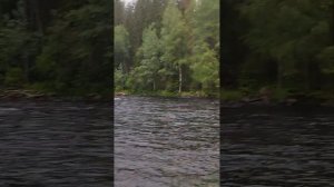 ТРЕХДНЕВНЫЙ ПОХОД В КАРЕЛИИ!!! РЕКА ЯНИСЙОКИ. РЫБАЛКА!