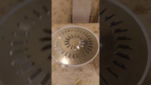 Электросушитель для овощей и фруктов Ветерок-2. А что внутри?