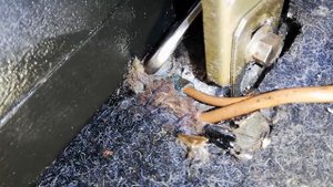 Плавают (Подвисают) обороты? глохнет?Не горит ЧЕК, ВАЗ... РЕШЕНО!!!