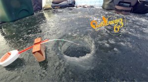 Рыба не дает опустить мормышку. Протестировал свой прикорм. Подводные съемки