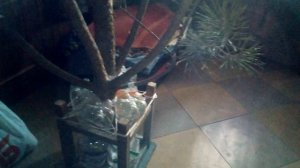 КАК УСТАНОВИТЬ ЕЛКУ БЕЗ КРЕСТОВИНЫ.ЛАЙФХАК.ЕЛКА.НА БУТЫЛКЕ.