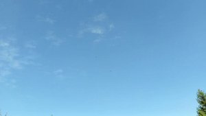 леушковские молодёж