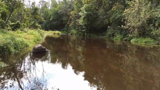 Каньон реки Лава. Ленинградская область, деревня Васильково. Апрель, август 2021 смотреть онлайн