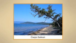 Сокровища Земли под охраной человечества. Видеоурок по окружающему миру 4 класс