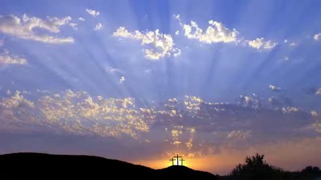 6-9-19 Philip Lacy Special смотреть онлайн