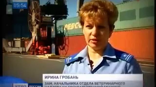 Кенгурятина. Мясо кенгуру везут в Россию смотреть онлайн