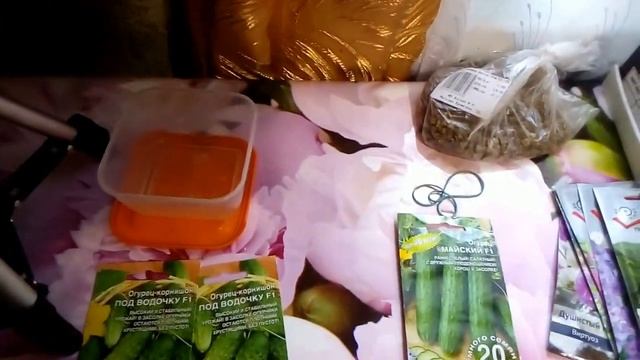 какие семена буду сеять в 2020 г и обзор ассортимента сортов.