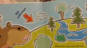 Storytime Live at the Rockbridge Regional Library - 5/13/2020