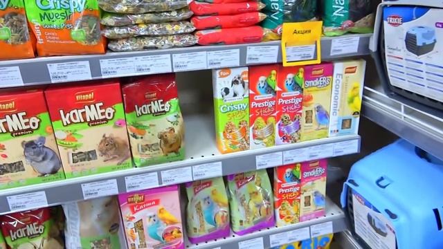 Тратим ДЕНЬГИ ДЕТЕЙ. НУ И РОДИТЕЛИ!!! ВЛОГ смотреть онлайн