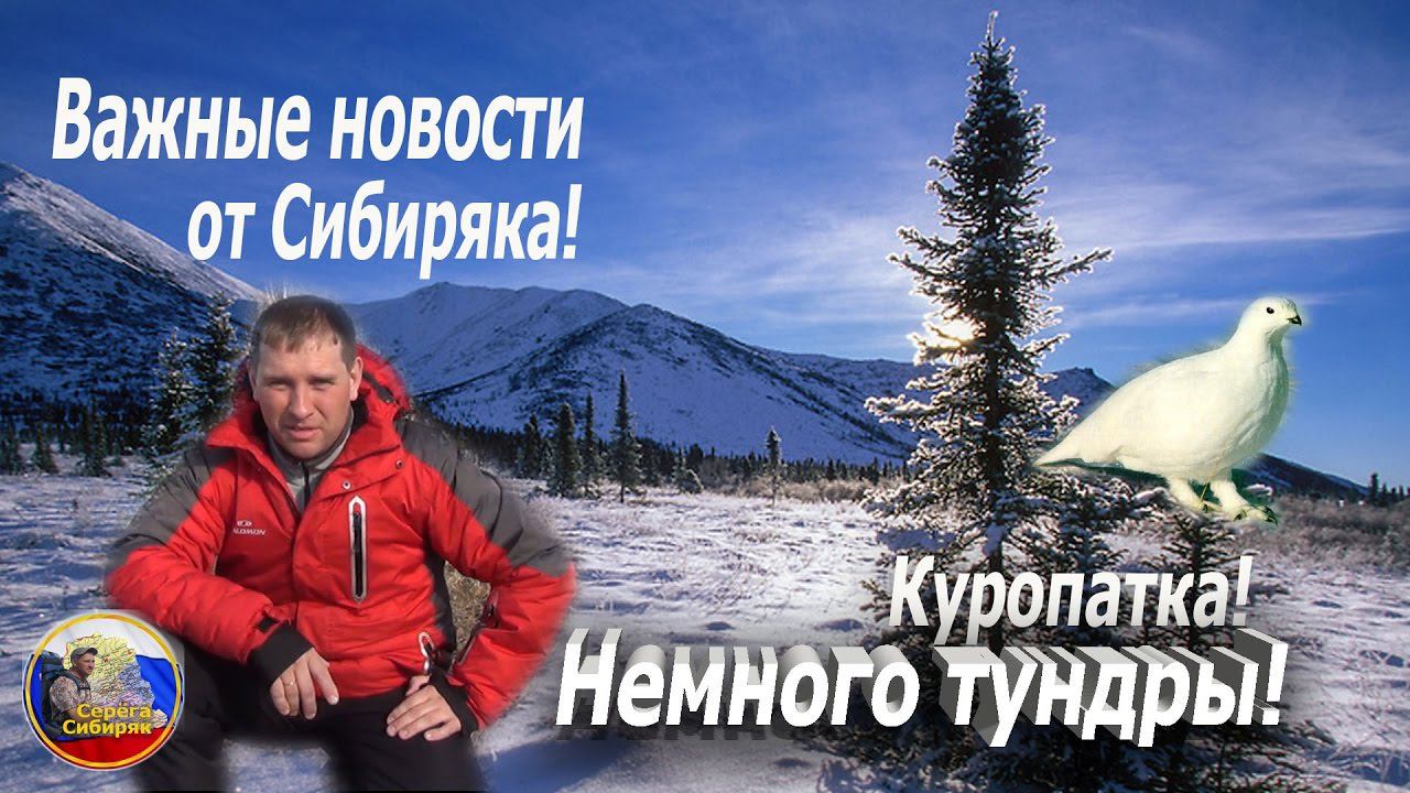 Важные новости от Сибиряка! Немного тундры! Куропатки!