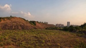 Flying OMP M2 Evo RC Helicopter with RadioMaster TX16S OpenTx Radio