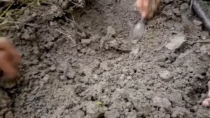 Treasure hunting by metal detector //TREASURE MEGA GIANT ! GOLD SENSATION 2020