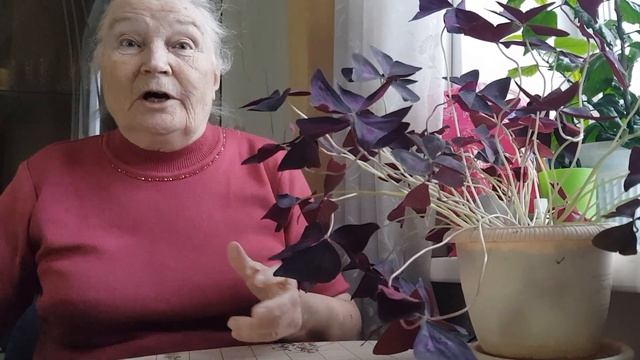 Истории из моей жизни. Гадание с Домовым. смотреть онлайн