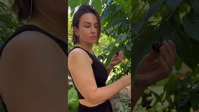 Смешные видео I Когда папа олигарх