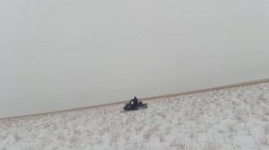 Охота на Волков 2022