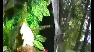 Сергей Наговицын На закамском кладбище