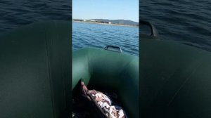Тест лодочного электромотора и аккумулятора на лодке ПВХ