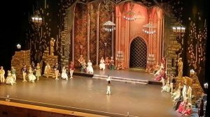 Лебединое озеро в Кремлевском Дворце - Танец Черного Лебедя