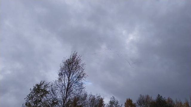 Перелёт