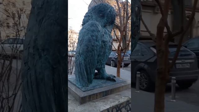 Magical Bird Wise Owl at Street, Kyiv, Ukraine. 19.march.2023.