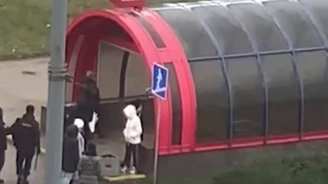 Героический поступок беларуски попал на видео. Эта девочка герой - так любить флаг и герб Беларус смотреть онлайн