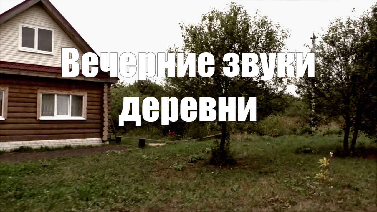 Вечер. Деревня. Звуки природы
