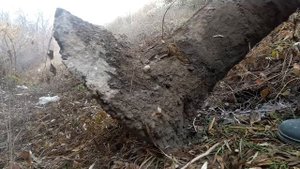 ПОХОД НА СВАЛКУ С НОВОЙ КУВАЛДОЙ! ПОИСК МЕТАЛЛОЛОМА НА СВАЛКЕ! АЛЮМИНИЕВЫЕ БАНКИ! ДОБЫВАЮ МЕДЬ!
