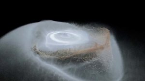 Теория Струн В поисках смысла Вселенной