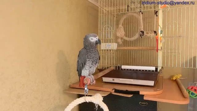 Жан разговаривает с Димкой(снято ОДНИМ кадром!) смотреть онлайн