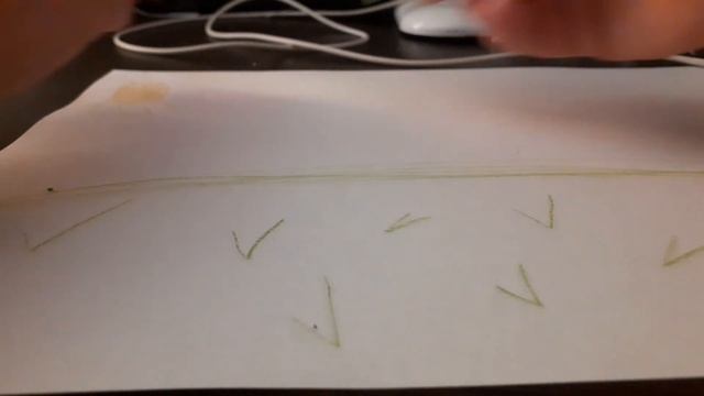 нарисовал природу смотреть онлайн