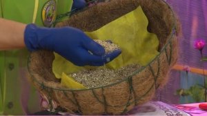 КОНСУЛЬТАНТ САДОВОДА 298