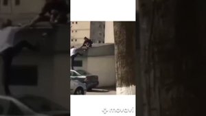Подборка смешных видосиков