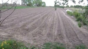 Посадка картошки Угра 4х4