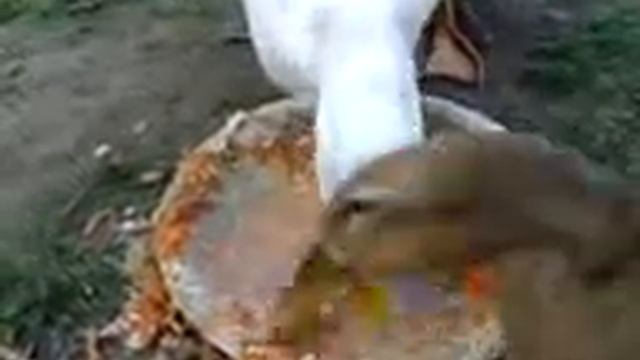 Lunch time смотреть онлайн