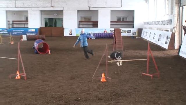 2014 04 06 Руссу Даша и бордер колли Уникум смотреть онлайн